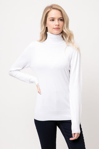 Long Sleeved Turtleneck Sweater