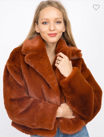 Faux fur Jacket-S5606